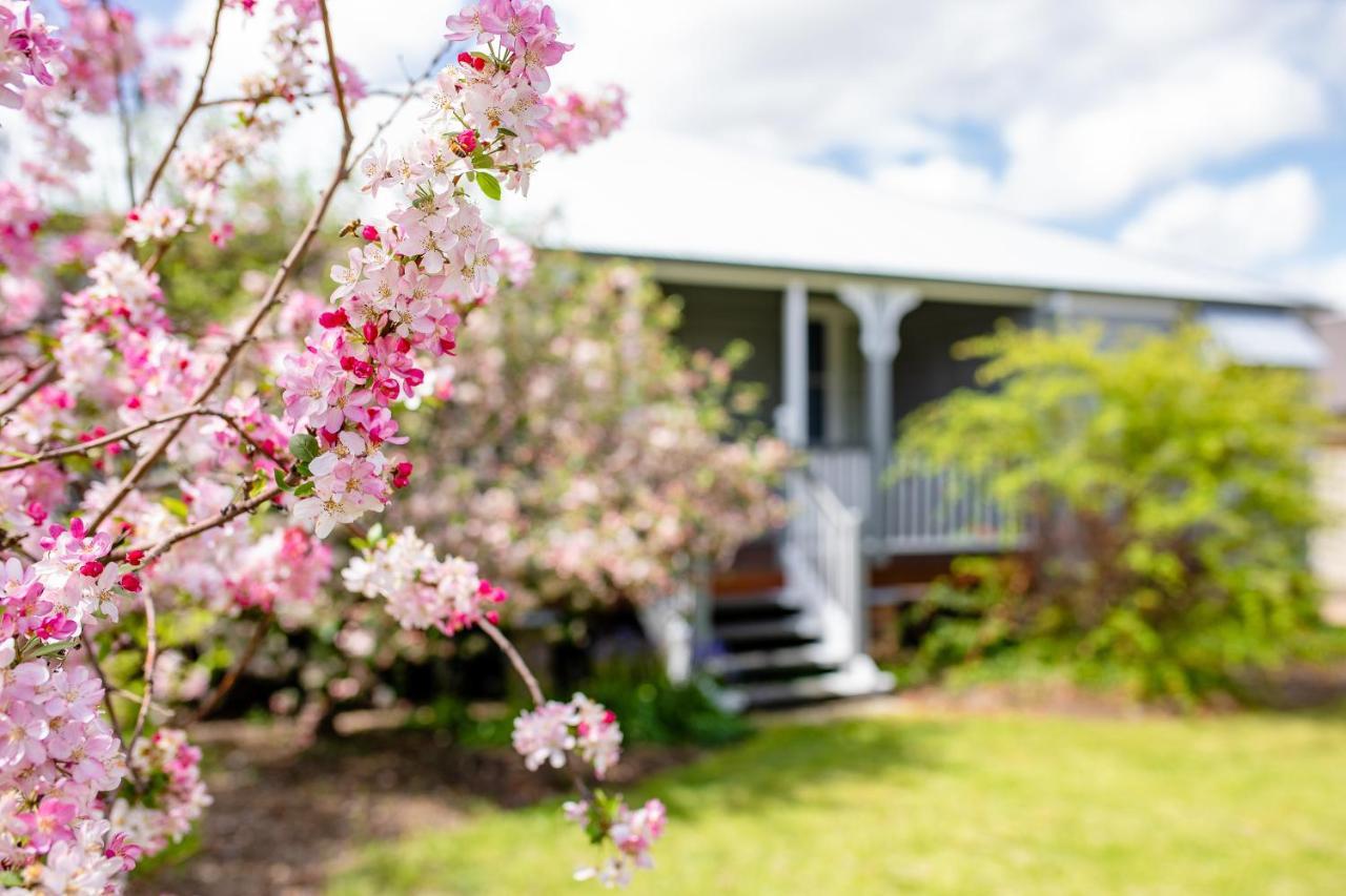 Apple Blossom Cottages 스탄소프 외부 사진